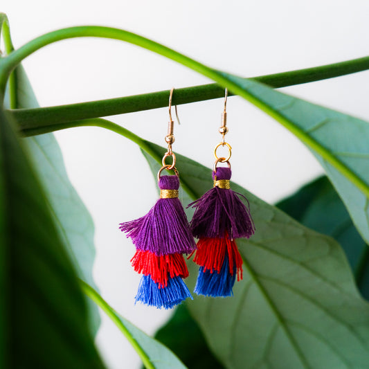 Sunset Tassle Earrings